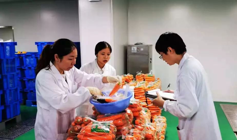 我市学校食材集中配送全面“试运行” 从源头到餐桌的安心守护