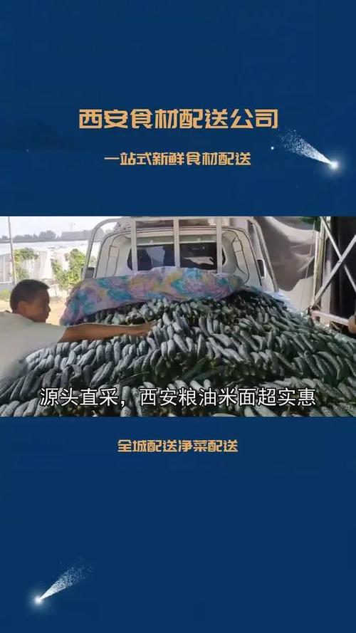 西安食材供应新生态 从田间到后厨，让采购全程无忧